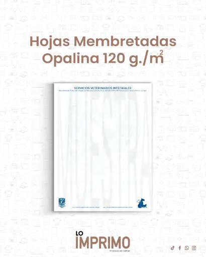 Hojas Membretadas Consultorio
